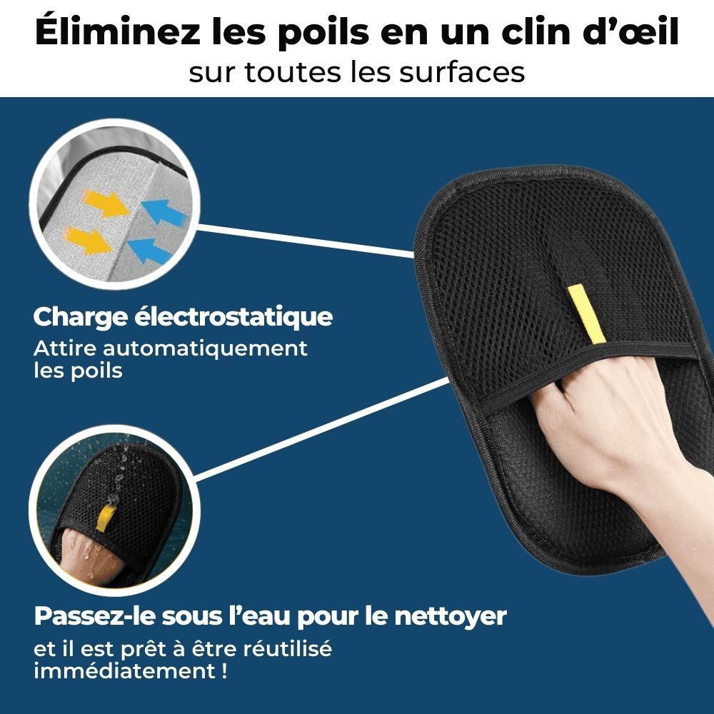 Gant Attrape Poils