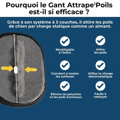Gant Attrape Poils