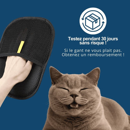 Gant Attrape Poils
