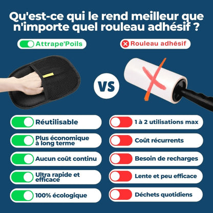 Gant Attrape Poils
