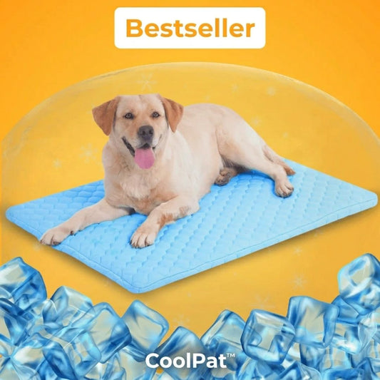 CoolPat™ – Tapis Rafraîchissant Premium pour Chien & Chat