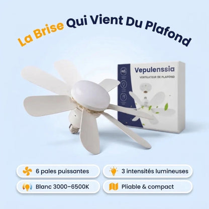 Ventilateur Plafond LED