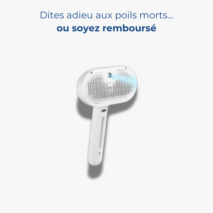 HydroBrush - Dites adieu aux poils morts et à la peau sèche