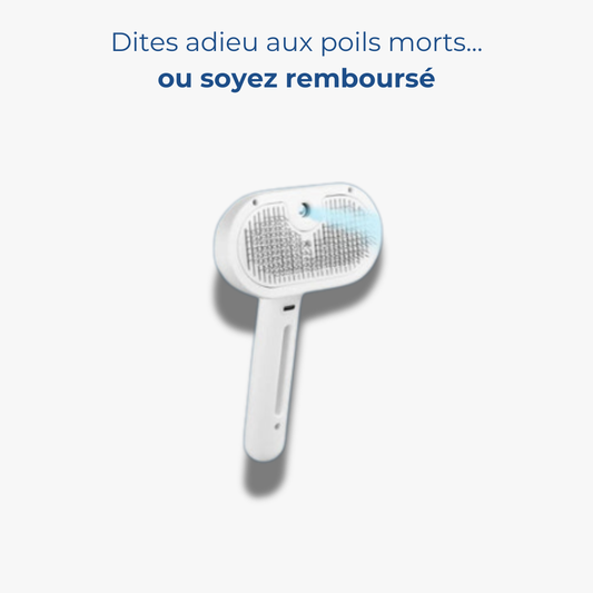 HydroBrush - Dites adieu aux poils morts et à la peau sèche