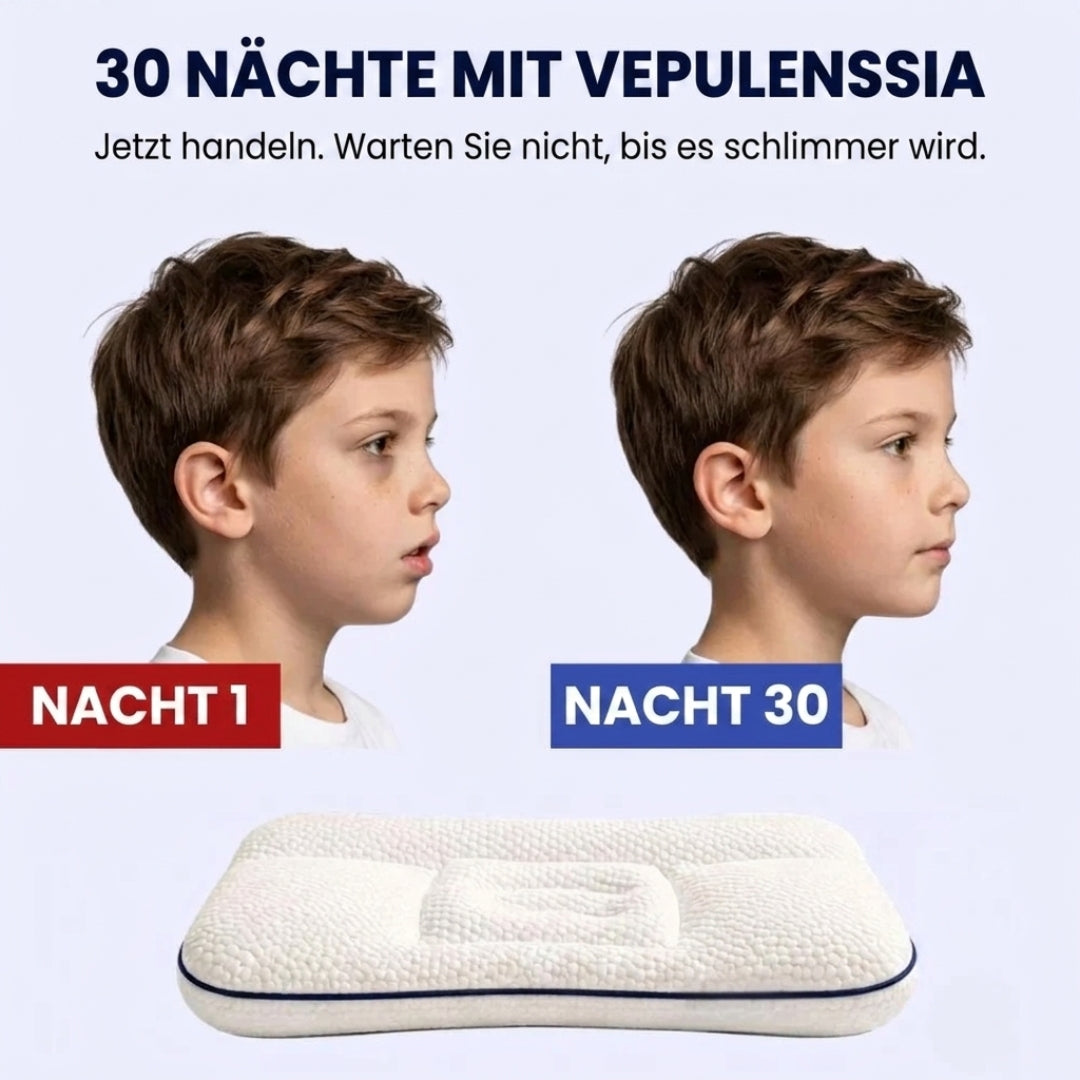 Vepulenssia Haltungskissen