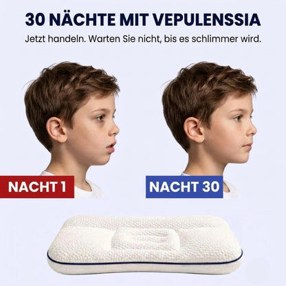 Vepulenssia Haltungskissen