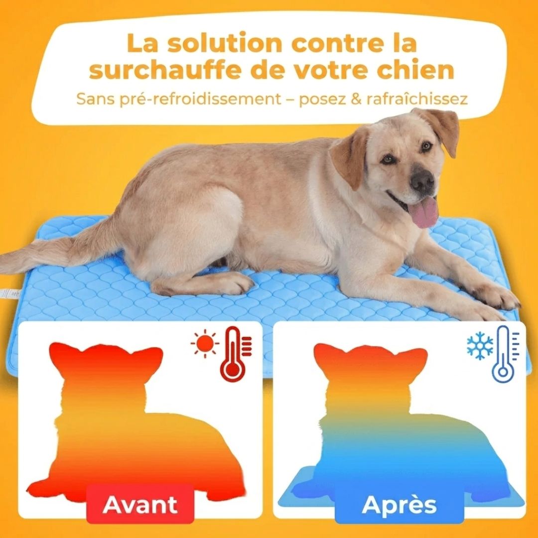 CoolPat™ – Tapis Rafraîchissant Premium pour Chien & Chat