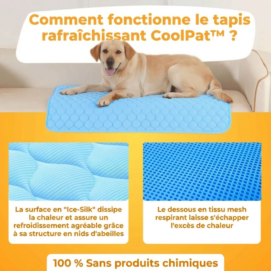 CoolPat™ – Tapis Rafraîchissant Premium pour Chien & Chat