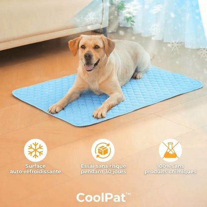 CoolPat™ – Tapis Rafraîchissant Premium pour Chien & Chat