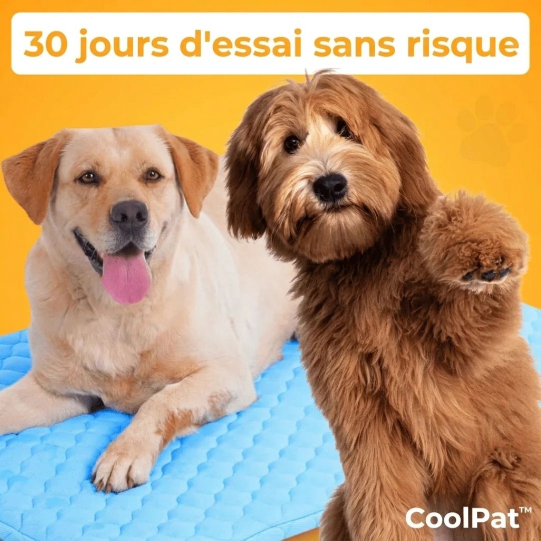CoolPat™ – Tapis Rafraîchissant Premium pour Chien & Chat