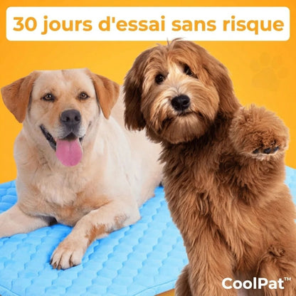 CoolPat™ – Tapis Rafraîchissant Premium pour Chien & Chat