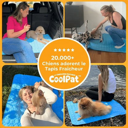 CoolPat™ – Tapis Rafraîchissant Premium pour Chien & Chat
