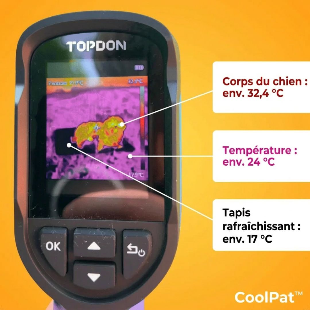 CoolPat™ – Tapis Rafraîchissant Premium pour Chien & Chat
