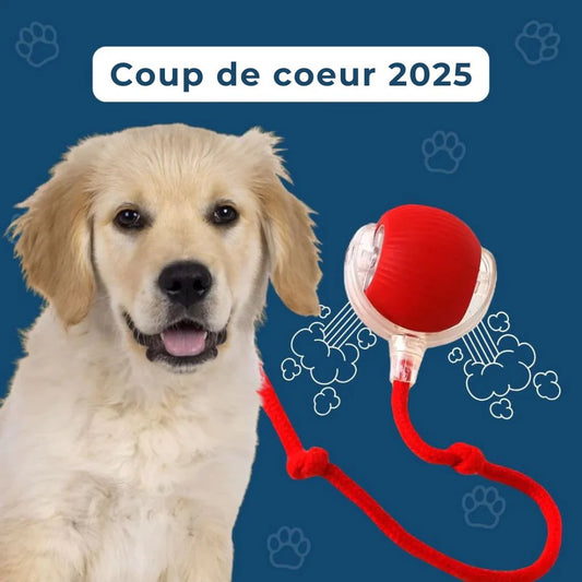 Balle Stimulante pour chien